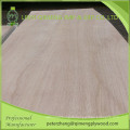 Hot Sale Bbcc Grade Okoume Door Skin Plywood with 3′x6′ 3′x7′ 4′x7′ Size